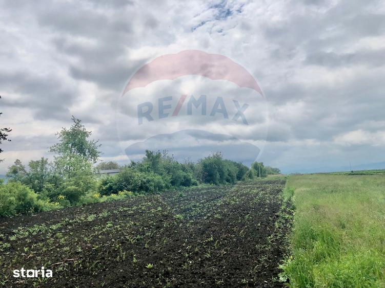 Teren de 3250 mp, în Stupini