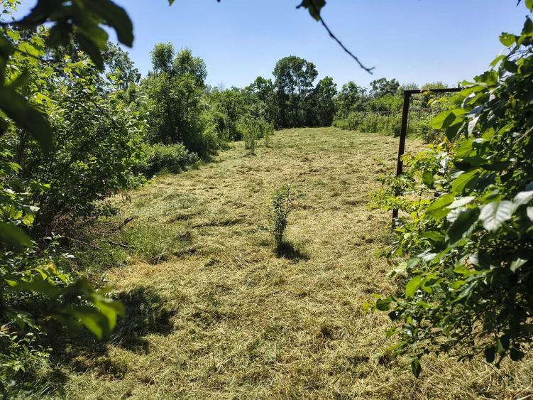 Casa 116 mp + Teren 3.700 mp cu deschidere de 25 ml in Comuna Uliesti, sat Ragu Dambovita, 5 min fata de A1, 60 km Bucuresti - 4
