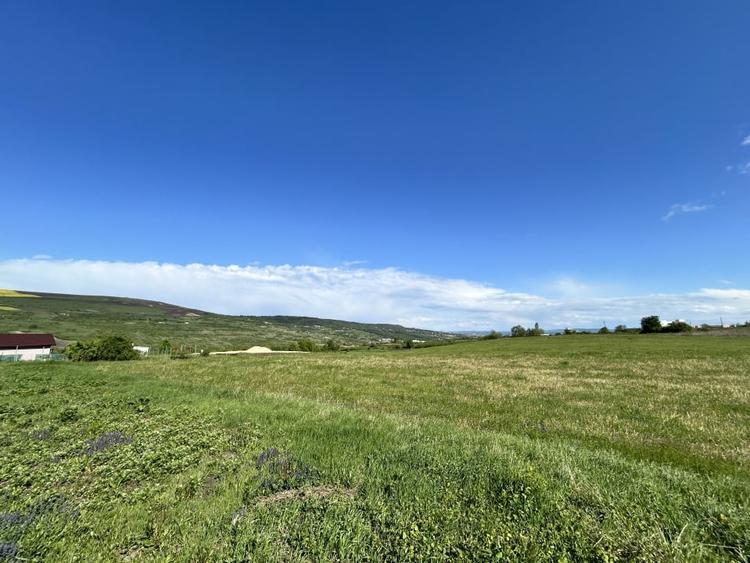 Teren Valea Chintaului / Cluj 5.547mp  parcelabil - 5