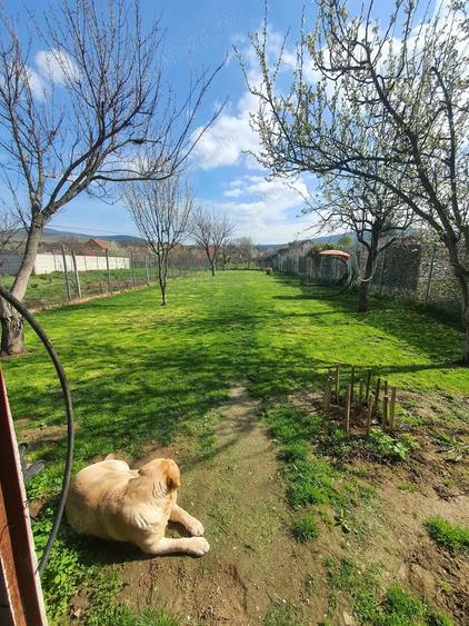 Vand casa in Minis - 1