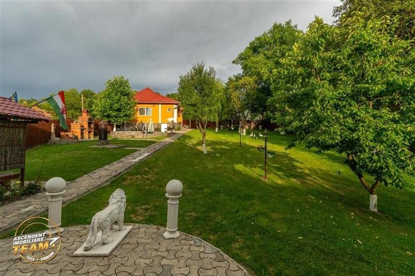 FILM&3D! Doua case cu:piscina,foisor,arbori decorativi,1.700mp teren,Lutoasa,Cov - 58