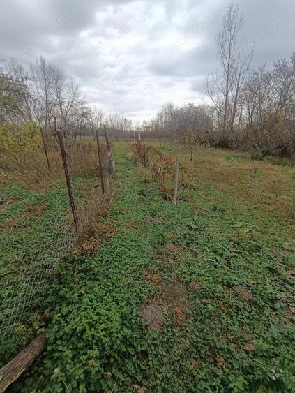 OPORTUNITATE! Casa + teren de vanzare in Sacadat (Bihor) - 7