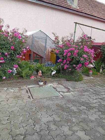 casa vanzare - 1