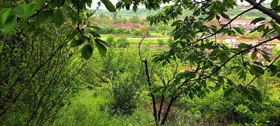 Vand proprietate in Vadu Cri?ului, jud. Bihor - 5