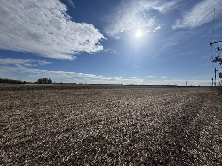 Vand Teren Extravilan Biled(zona industriala) 25.000mp,F.S la DN6 - 2