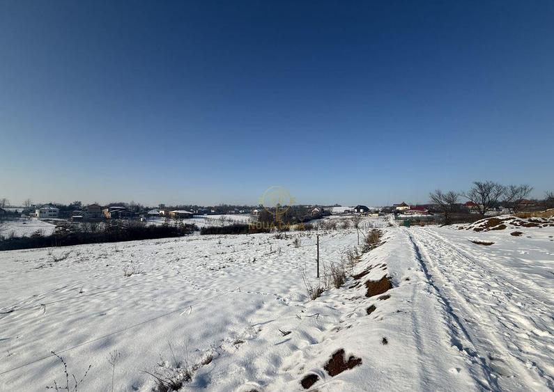 De vanzare Teren Intravilan Viile Satu Mare 1439 MP/ZONA ... - 5