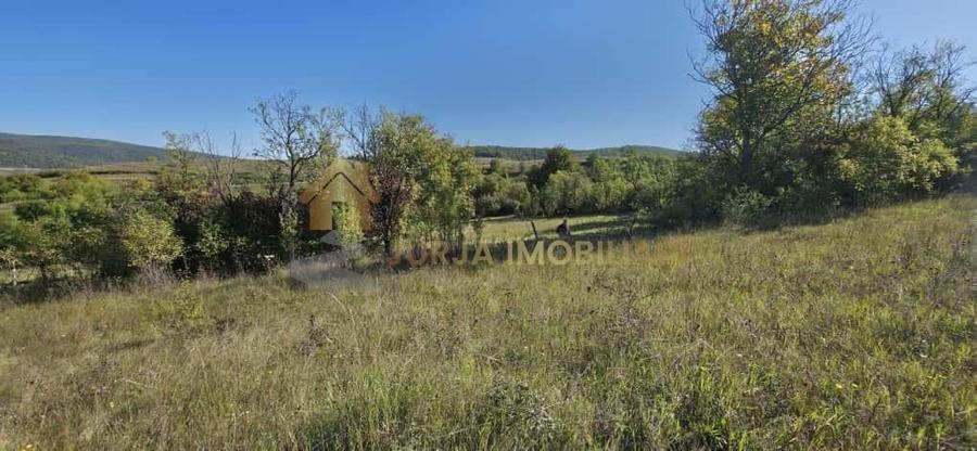 TEREN INTRAVILAN 11000 MP - 3