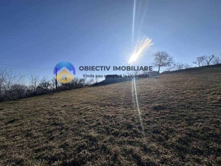 Teren intravilan DOBRENI - 10