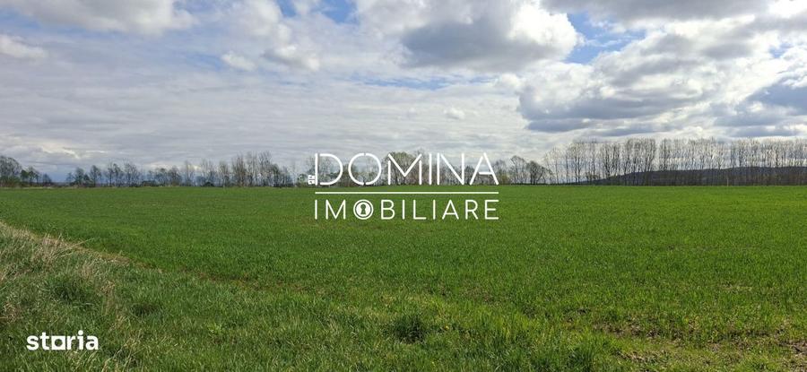 Teren intravilan 20.386 mp in Calnictraversat de rau, 19 km de Tg J - 6