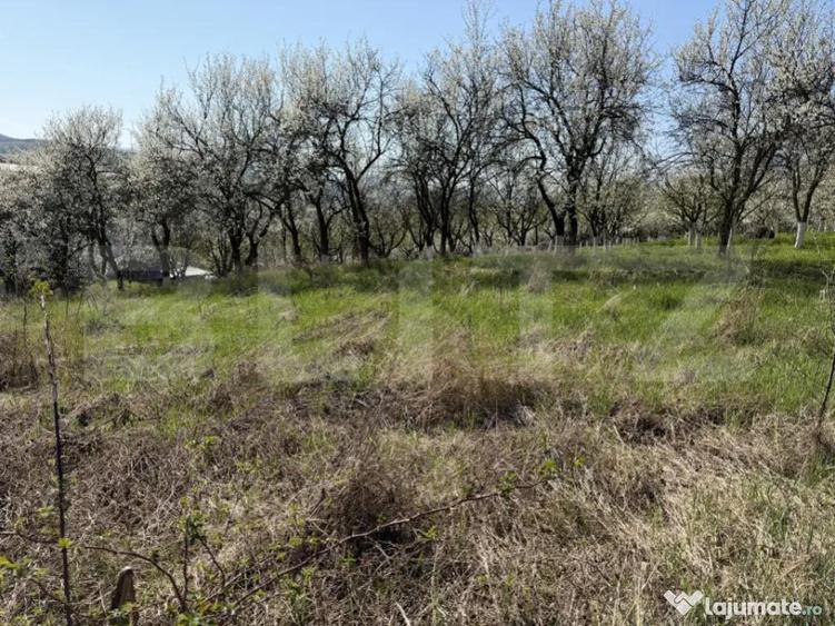 Teren intravilan in localitatea Criseni in suprafata de 2700 - 3