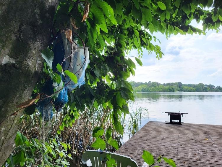 CEL MAI FRUMOS  TEREN CU PADURE SI  DESCHIDERE LA LACUL SNAGOV - 1