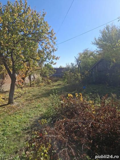 Vand casa in comuna Branceni - 3