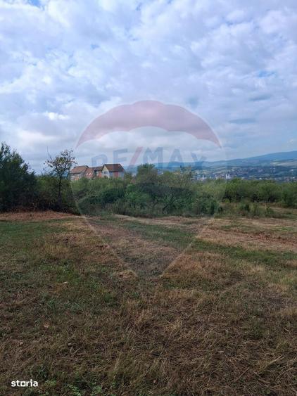 Teren 5,700mp Somcuta Mare / investitie cu potential major - 7