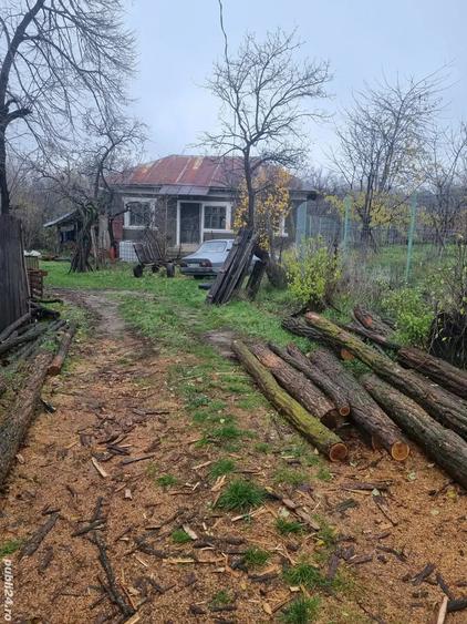 Vand casa aproape de dunare - 3