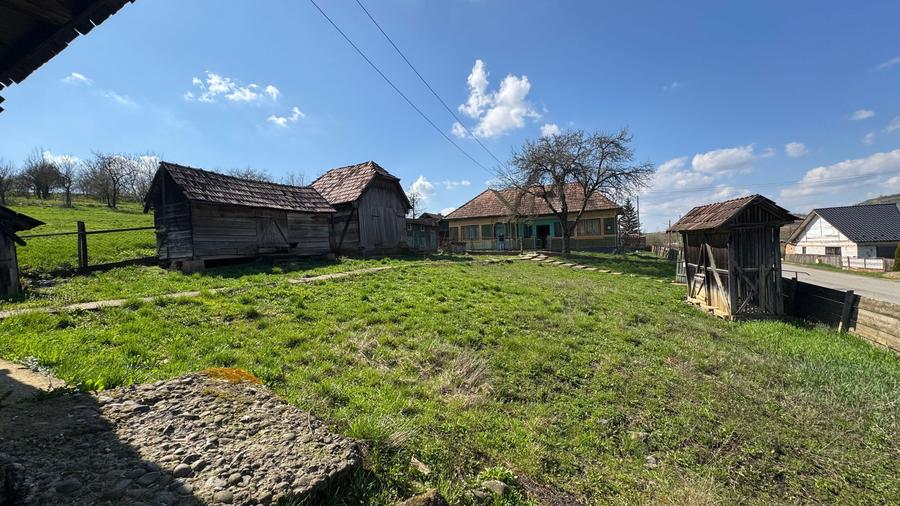 Casa de vanzare cu teren 53 ari - 4