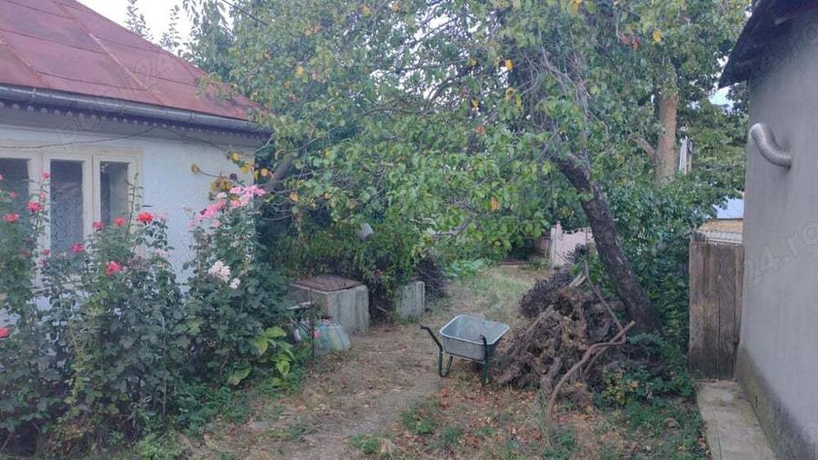 Casa batraneasca cu teren arabil si padure - 5