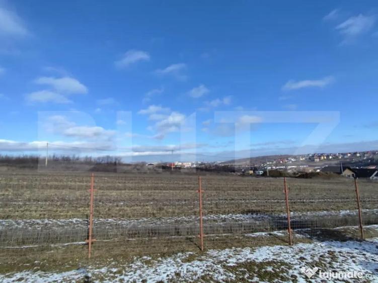 Teren intravilan cu cabana, 700mp, Ciurea - 2