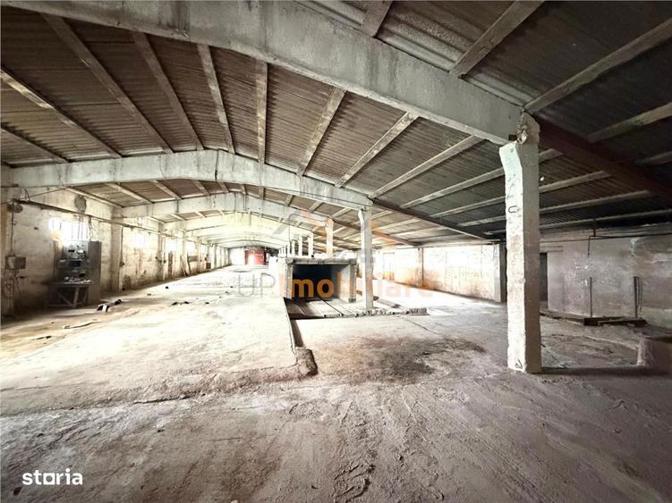 HALE INDUSTRIALE | CLADIRE BIROURI | TEREN 7000 MP | GHEGHIE BIHOR - 9