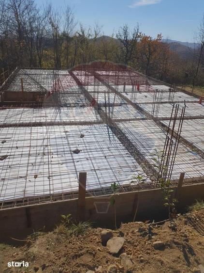 Teren de 4972 mp, în Bertea