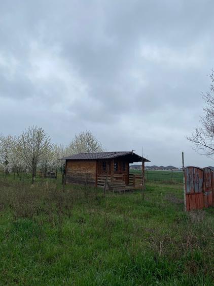 Vanzare teren intravilan Lazuri - 6