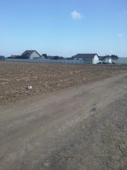 Exclusiv! Teren intravilan 6.100 mp - Cumpana - 29 euro/mp  (Cod E3) - 2