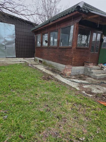 Casa la 3 km de Slatina, Proaspeti - 7