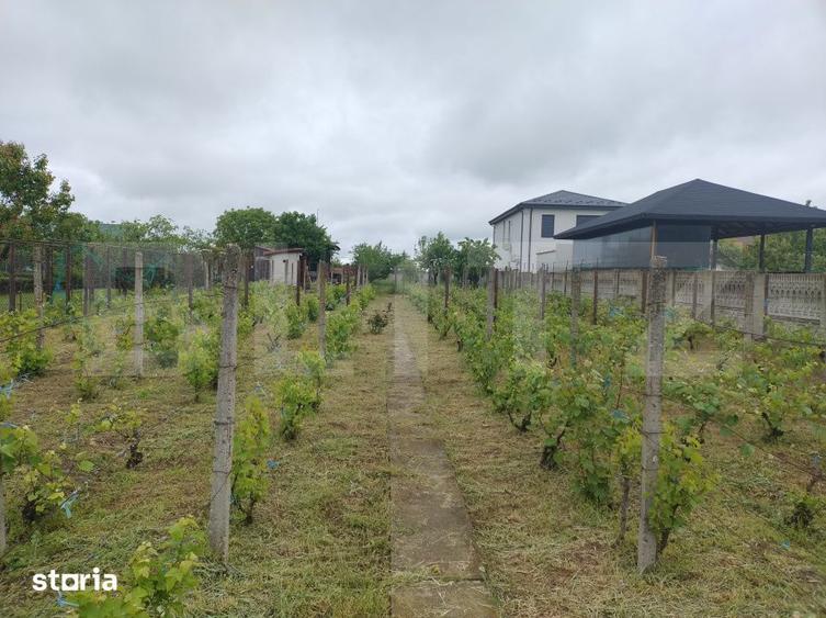 Teren utilitati, 1.236 mp, 16.6 m deschidere, zona Carcea - 3
