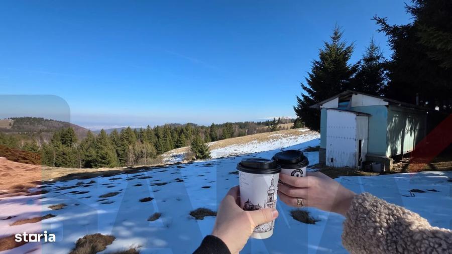 Proprietar | Teren Panoramic PUZ + Cabana | Drumul Paltinisului |746mp - 2