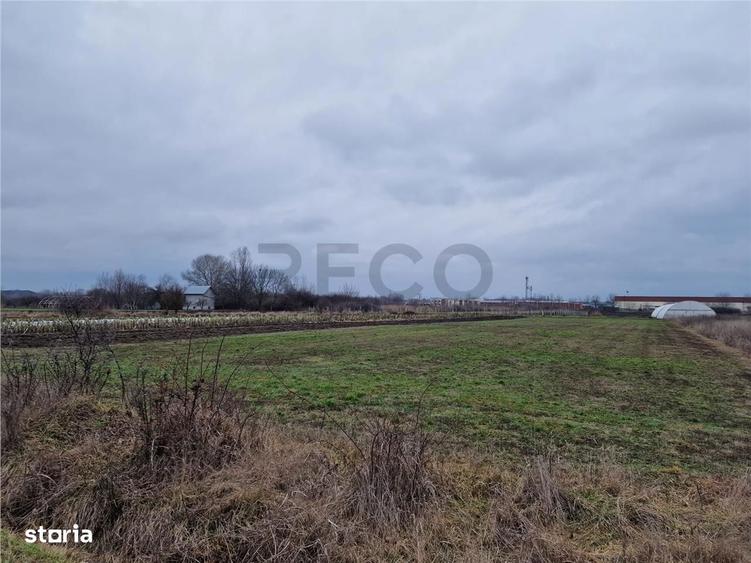 Teren intravilan in Bors cu front mare - 1