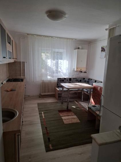 Apartament 3 camere,2 bai, 72 MP, bucatarie si beci mare ,parter inalt - Bd . Traian -Hunedoara - 4