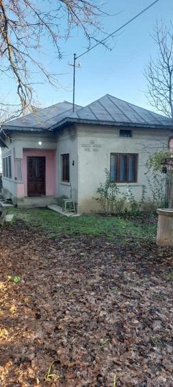 Casa de vanzare in Vulpeni - 4