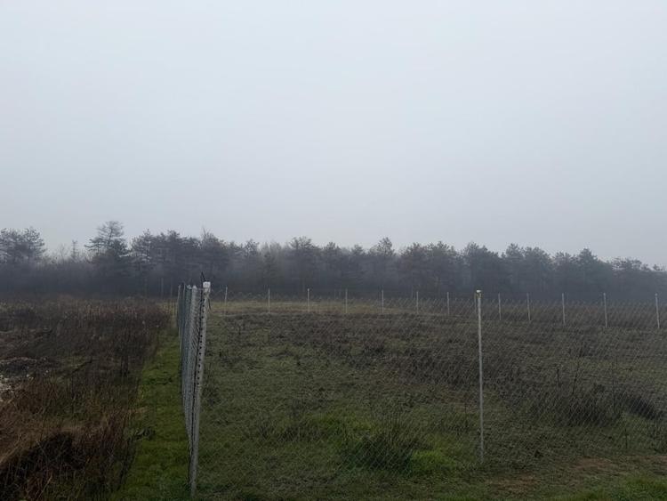 Teren langa padure ,500 mp intravilan, Drumul Muntenilor - 2