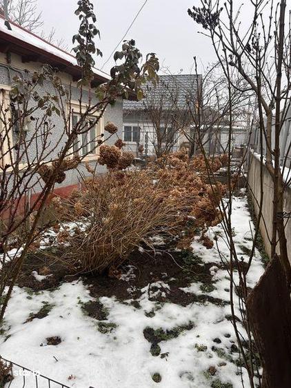 Casa de vanzare Medgidia Pret Negociabil! - 6