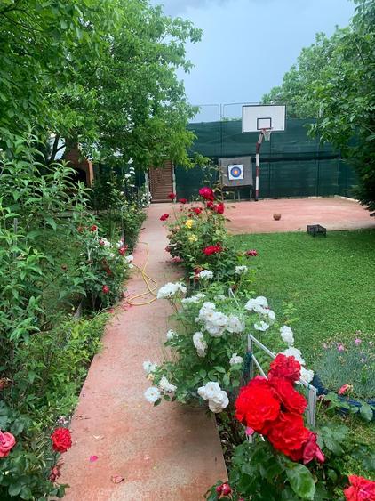 Snagov  Vila de Prestigiu   mobilat utilat cu   mutare imediata (+8camere -5bai) - 5