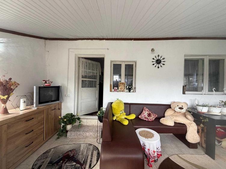 Casa batraneasca de vanzare - 3