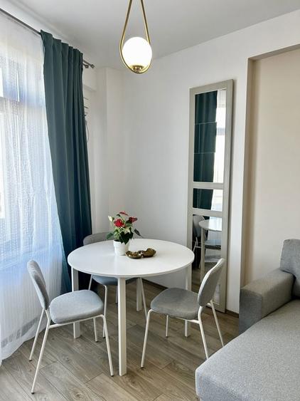 Garsoniera de inchriat, Proprietar - 6