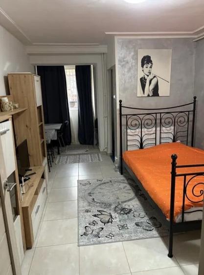 Apartament cu 1 camera in Tudor Vladimirescu - 3