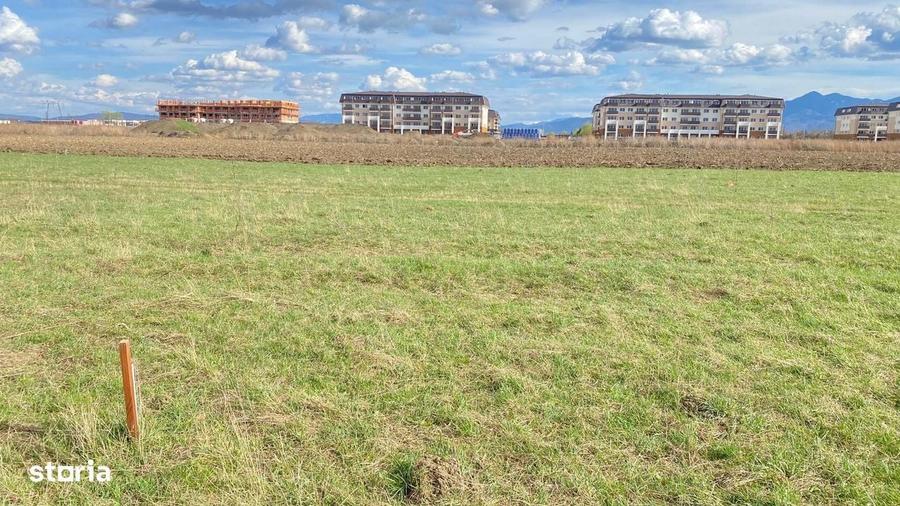 Teren Sanpetru Drumul cu Plopi - 4