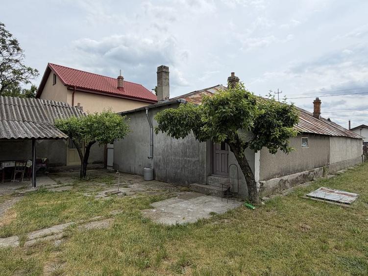 Casa de vanzare in Campineanca 722 m2, toate utilitatile - 4