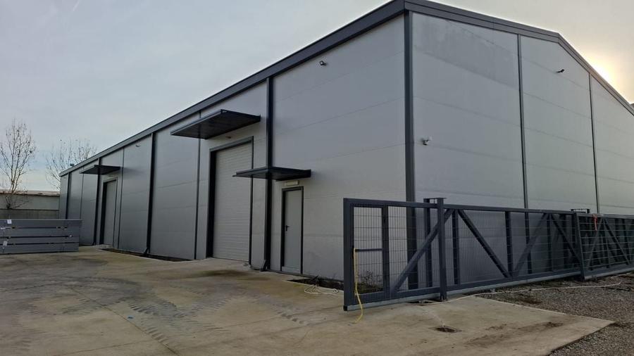 Hale de inchiriat - Otopeni - 7