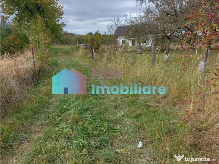 Casa cu 8450 mp teren in Solca - 4