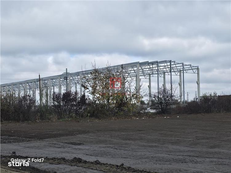 Vanzare depozithalaspatiu industrial Mogosoaia - Buftea - 3