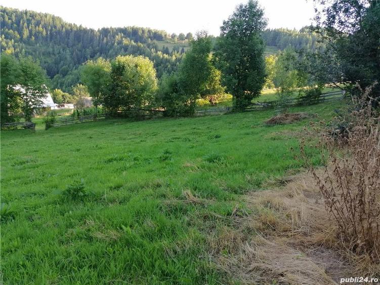 Vand casa de vacan?a in Mun?ii Apuseni - 9