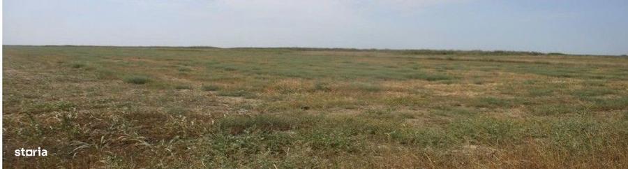 Teren extravilan Negrilesti, cota parte 2/18, ID: R2940348 - 4