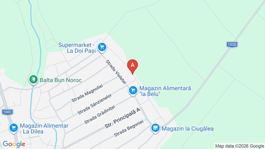 Teren intravilan + extravilan - 6