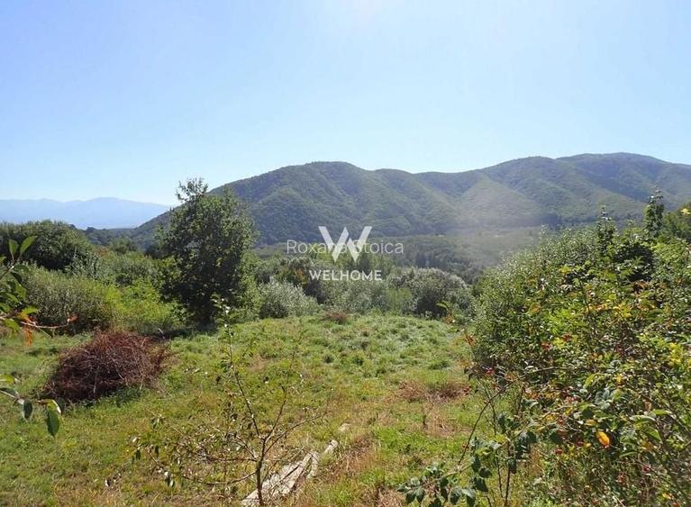 Teren intravilan Cisnadioara, Sibiu