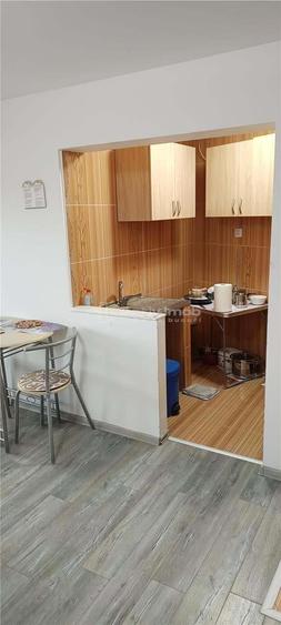 Moldova Noua, Garsoniera 25, 09 mp gata de mutare! - 14