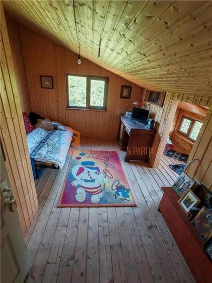 Teren intravilan + casa zona Fintesti - 5