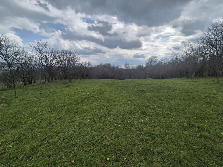 TEREN INTRAVILAN + AUTORIZATIE + LIVADA 4.663 mp Drajna, Faget, Prahova - 7