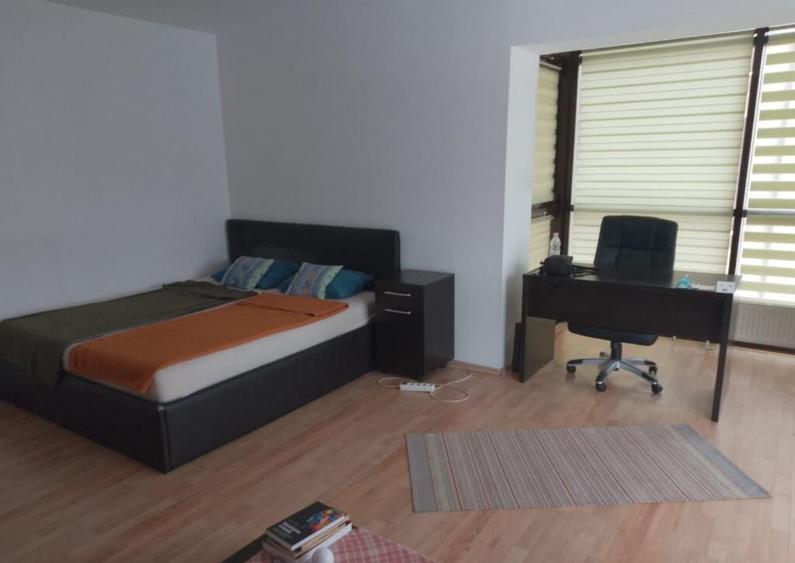 Apartament 1 camera -zona Iulius Mall - 2